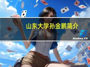 山东大学孙金鹏简介（金鹏国际酒店简介）