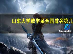 山东大学数学系全国排名第几