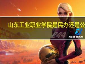 山东工业职业学院是民办还是公办