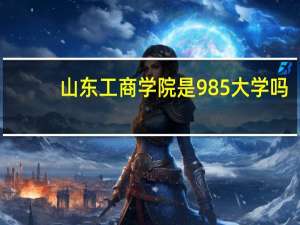 山东工商学院是985大学吗