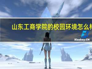 山东工商学院的校园环境怎么样