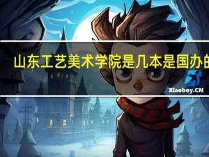 山东工艺美术学院是几本是国办的吗