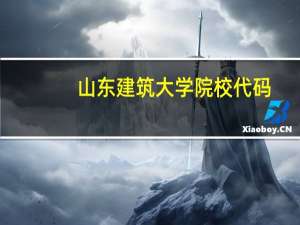 山东建筑大学院校代码