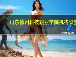 山东德州科技职业学院机构设置