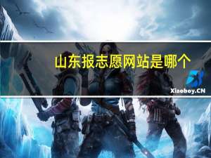 山东报志愿网站是哪个