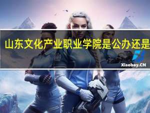 山东文化产业职业学院是公办还是民办