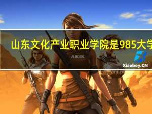山东文化产业职业学院是985大学吗