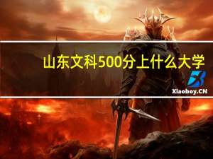 山东文科500分上什么大学