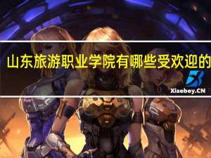 山东旅游职业学院有哪些受欢迎的专业