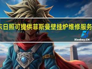 山东日照可提供菲斯曼壁挂炉维修服务地址在哪