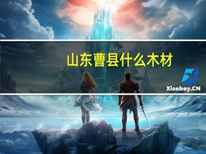 山东曹县什么木材