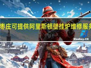 山东枣庄可提供阿里斯顿壁挂炉维修服务地址在哪
