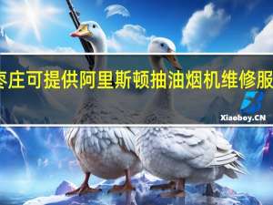 山东枣庄可提供阿里斯顿抽油烟机维修服务地址在哪
