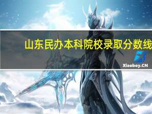 山东民办本科院校录取分数线