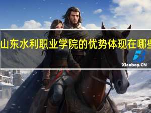 山东水利职业学院的优势体现在哪些方面