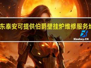 山东泰安可提供伯爵壁挂炉维修服务地址在哪