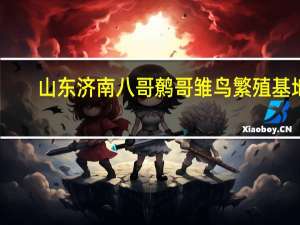 山东济南八哥鹩哥雏鸟繁殖基地（鹩哥雏鸟多少钱区域不一样价格也不一样）