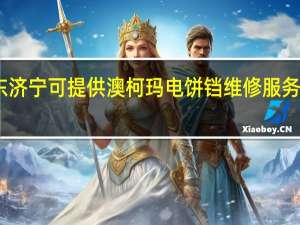 山东济宁可提供澳柯玛电饼铛维修服务地址在哪