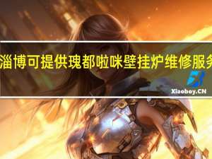 山东淄博可提供瑰都啦咪壁挂炉维修服务地址在哪