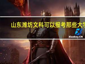山东潍坊文科可以报考那些大学，最低分数线是多少…好的可以加分40