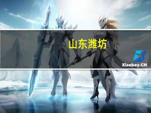 山东潍坊：抓好债务风险化解守牢不发生系统性风险底线