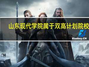 山东现代学院属于双高计划院校吗