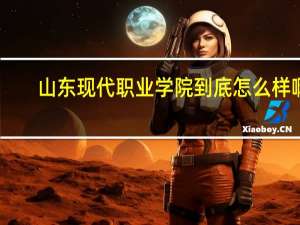 山东现代职业学院到底怎么样啊