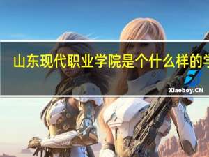 山东现代职业学院是个什么样的学校
