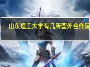 山东理工大学有几所国外合作院校