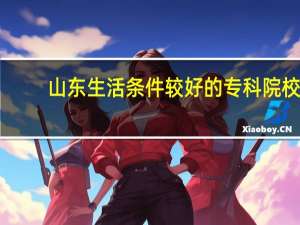山东生活条件较好的专科院校