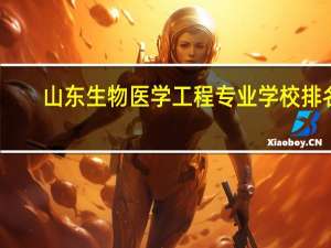 山东生物医学工程专业学校排名