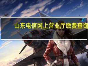 山东电信网上营业厅缴费查询（山东电信网上营业厅缴费）