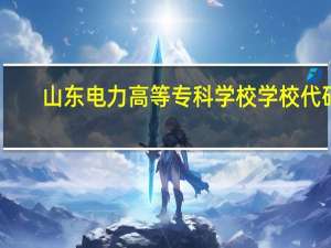 山东电力高等专科学校学校代码