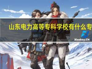 山东电力高等专科学校有什么专业