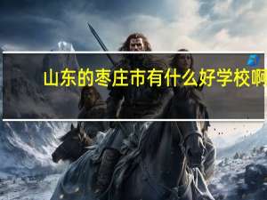 山东的枣庄市有什么好学校啊