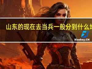 山东的现在去当兵一般分到什么地方