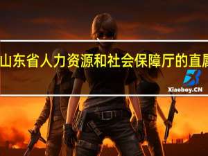 山东省人力资源和社会保障厅的直属院校