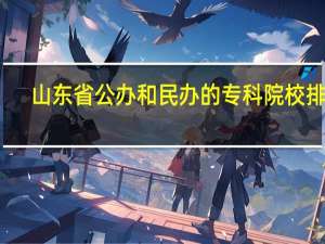 山东省公办和民办的专科院校排名， 最新的啊。 急急急 。。