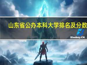 山东省公办本科大学排名及分数线