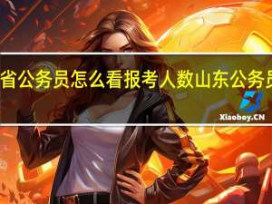 山东省公务员怎么看报考人数 山东公务员考试培训