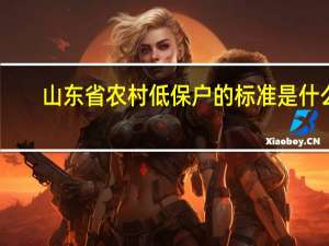 山东省农村低保户的标准是什么