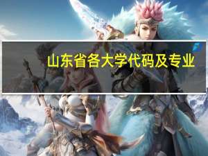 山东省各大学代码及专业