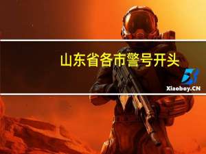 山东省各市警号开头