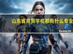 山东省商贸学校都有什么专业