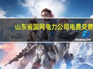 山东省国网电力公司电费交费（国网山东电力网上缴费）