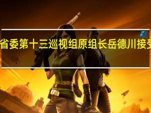 山东省委第十三巡视组原组长岳德川接受审查调查
