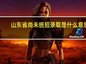 山东省尚未统招录取是什么意思