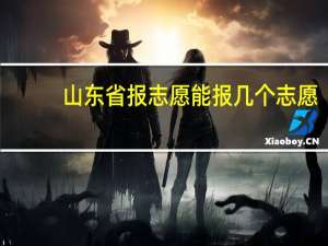 山东省报志愿能报几个志愿
