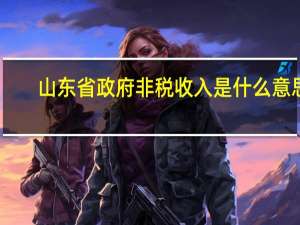 山东省政府非税收入是什么意思（非税收入是什么意思）