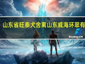 山东省旺泰犬舍离山东威海环翠有多远